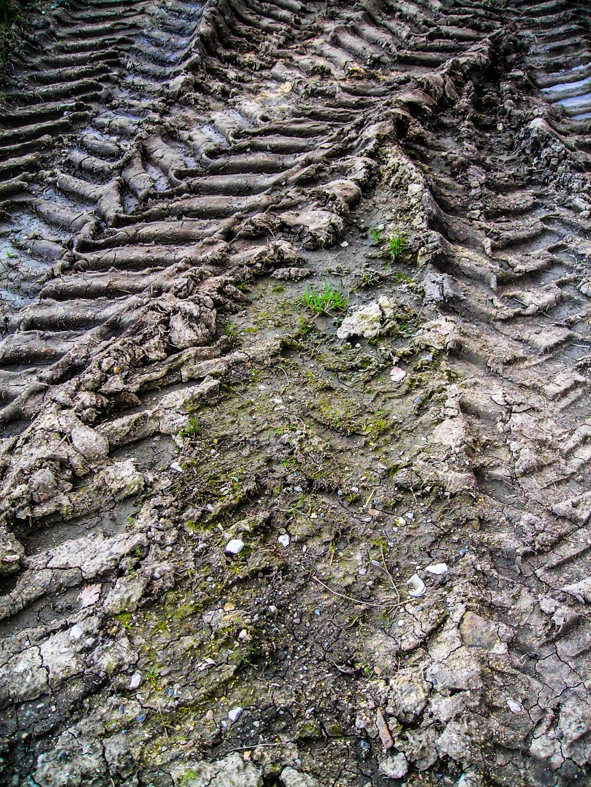 Tractor Tracks In The Mud