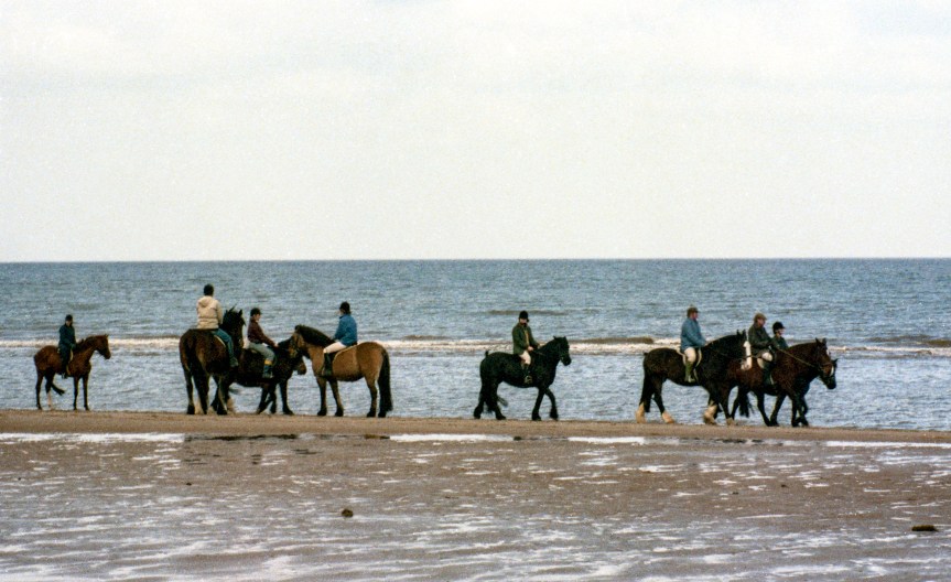 Horses On The&nbsp;Beach