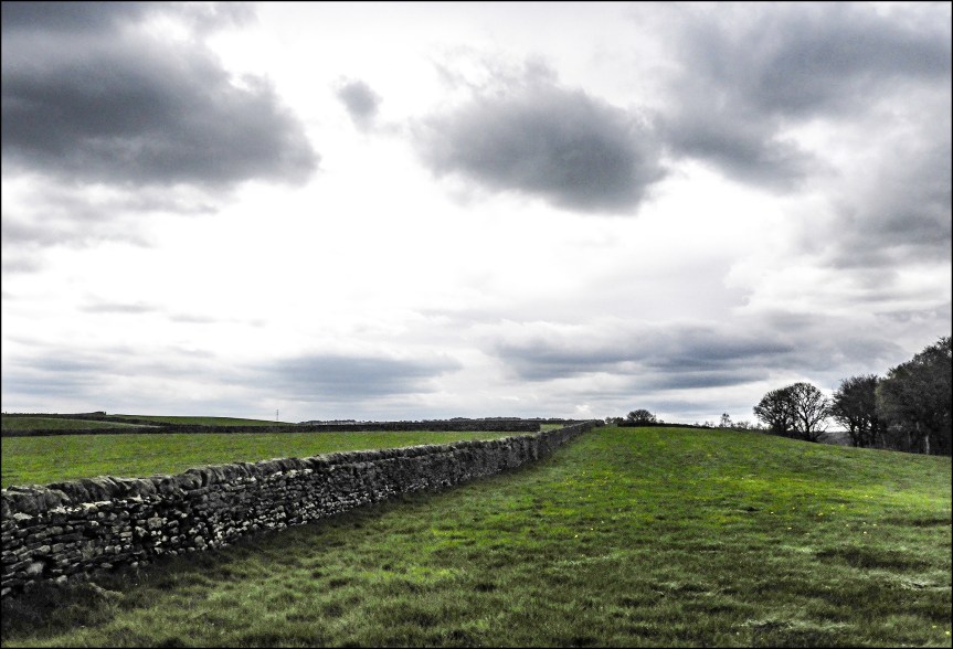 No Stain On The&nbsp;Land