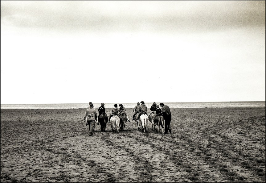 Ten From The Seaside 7 : Donkeys On The&nbsp;Sands