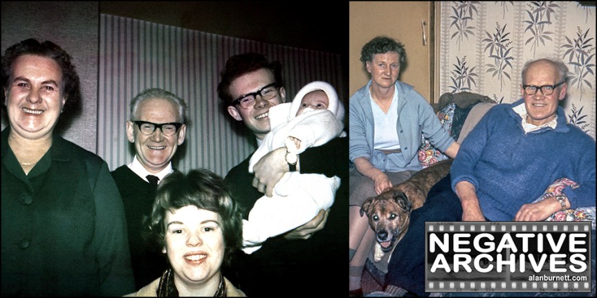 Crouching Photographer, Hidden&nbsp;Dog