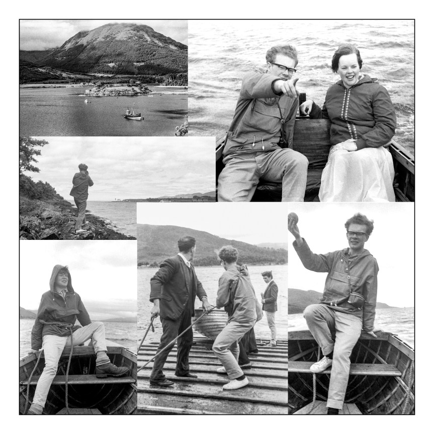 Killing Three Birds With One Sea&nbsp;Urchin