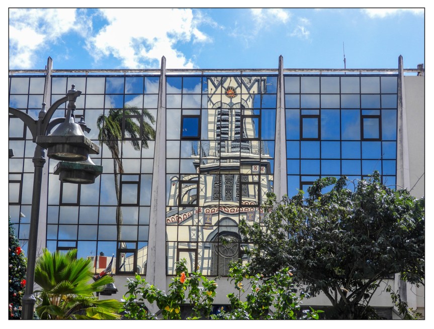 Reflections On Martinique