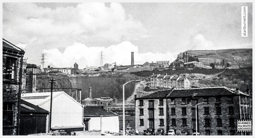 You Can See The Teeth&nbsp;Marks