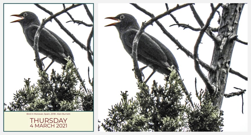 It’s Spring, After&nbsp;All