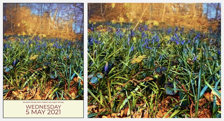 Bluebells And Whisky