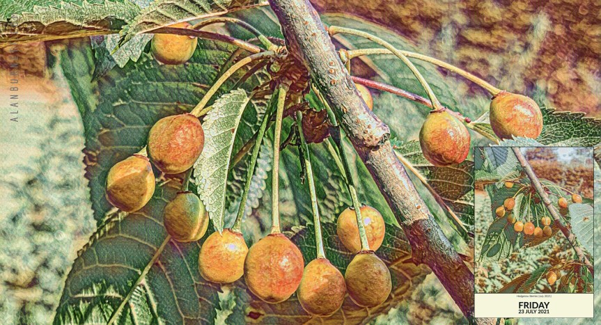 A Hazy Shade Of&nbsp;Summer