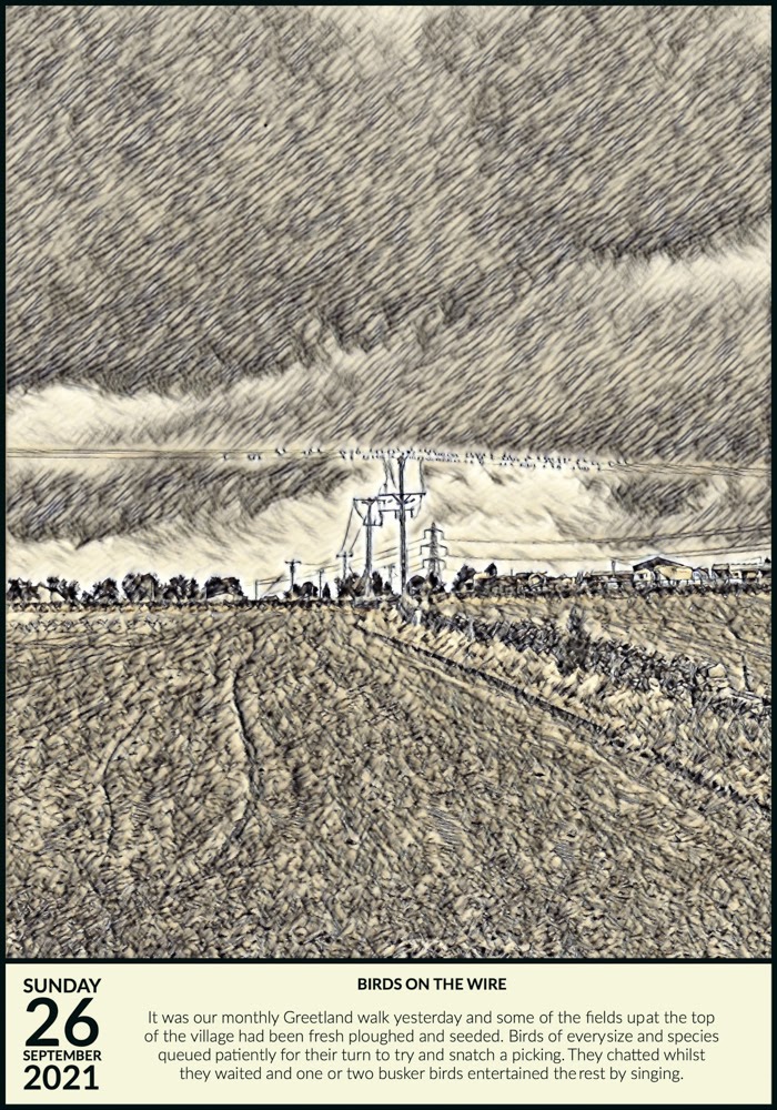 Birds On The&nbsp;Wire