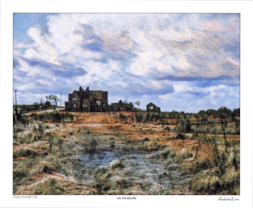ON THE MOORS