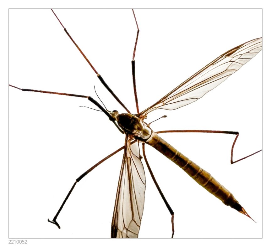 Knocking At The&nbsp;Door