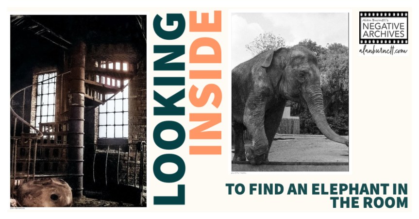 Looking Inside … To Find An Elephant In The&nbsp;Room!