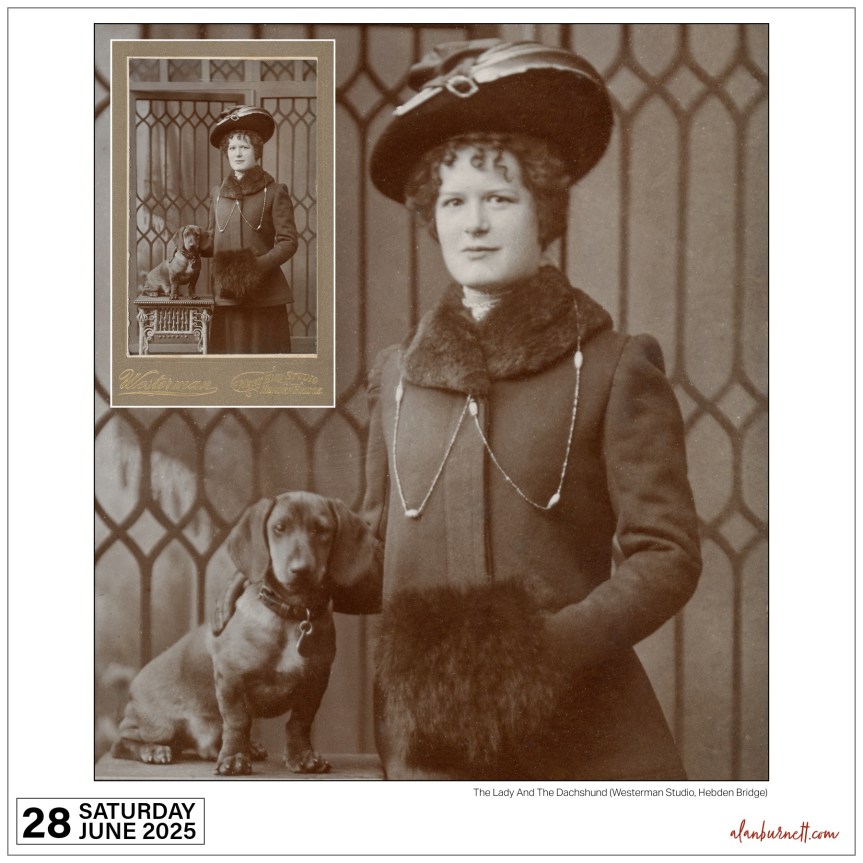 The Lady And The&nbsp;Dachshund