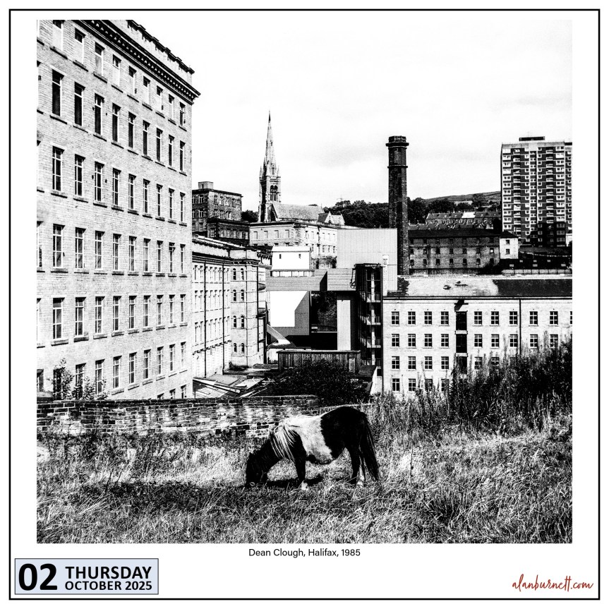 Regenerative Pastures