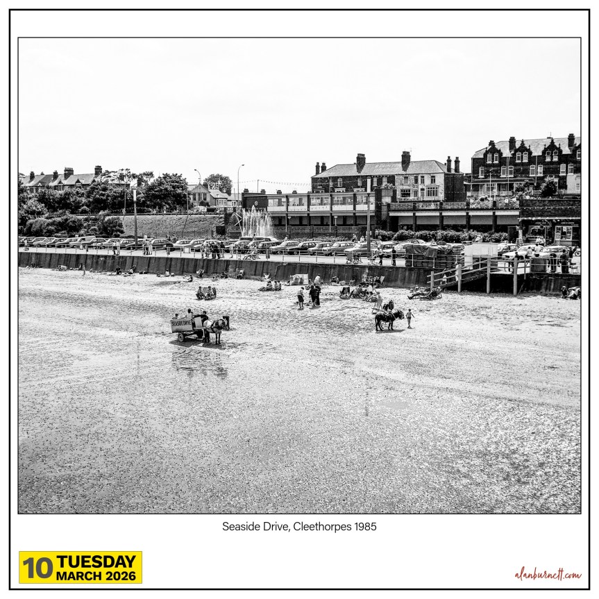 Do Seagulls Screech In&nbsp;Cleethorpes?