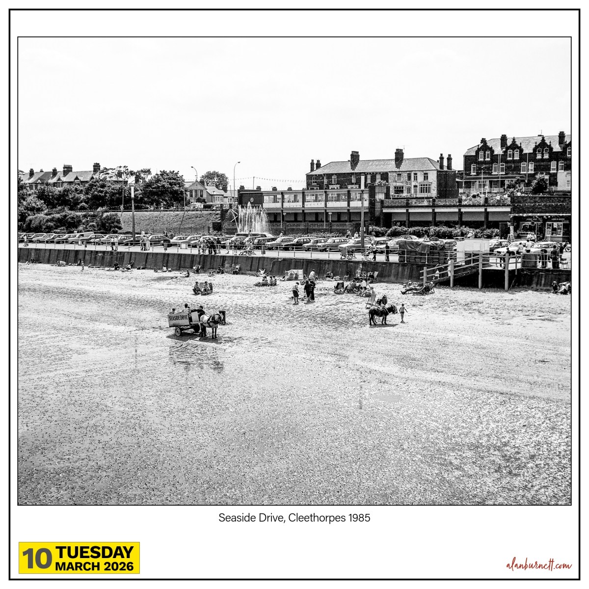 Do Seagulls Screech In&nbsp;Cleethorpes?